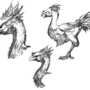 ff15-chocobo-sketch.jpg