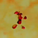 Ray (3).png