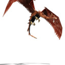 de-mar03-printexc_bird_dragon.jpg