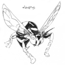 wasps.jpg