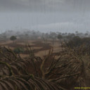 de-mar03-printexc_rainyswamp1.jpg