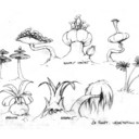 Concept_Forest_5.jpg