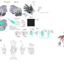 ARM-nkle01.png