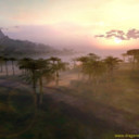 Dragon_Empires-90103pr_junglefog.jpg