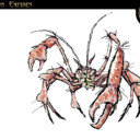 Crab_Concept800x600.jpg