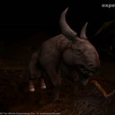 experience7.jpg
