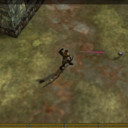 torn3.jpg
