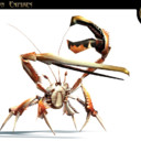 BrownWhite Crab800x600.jpg